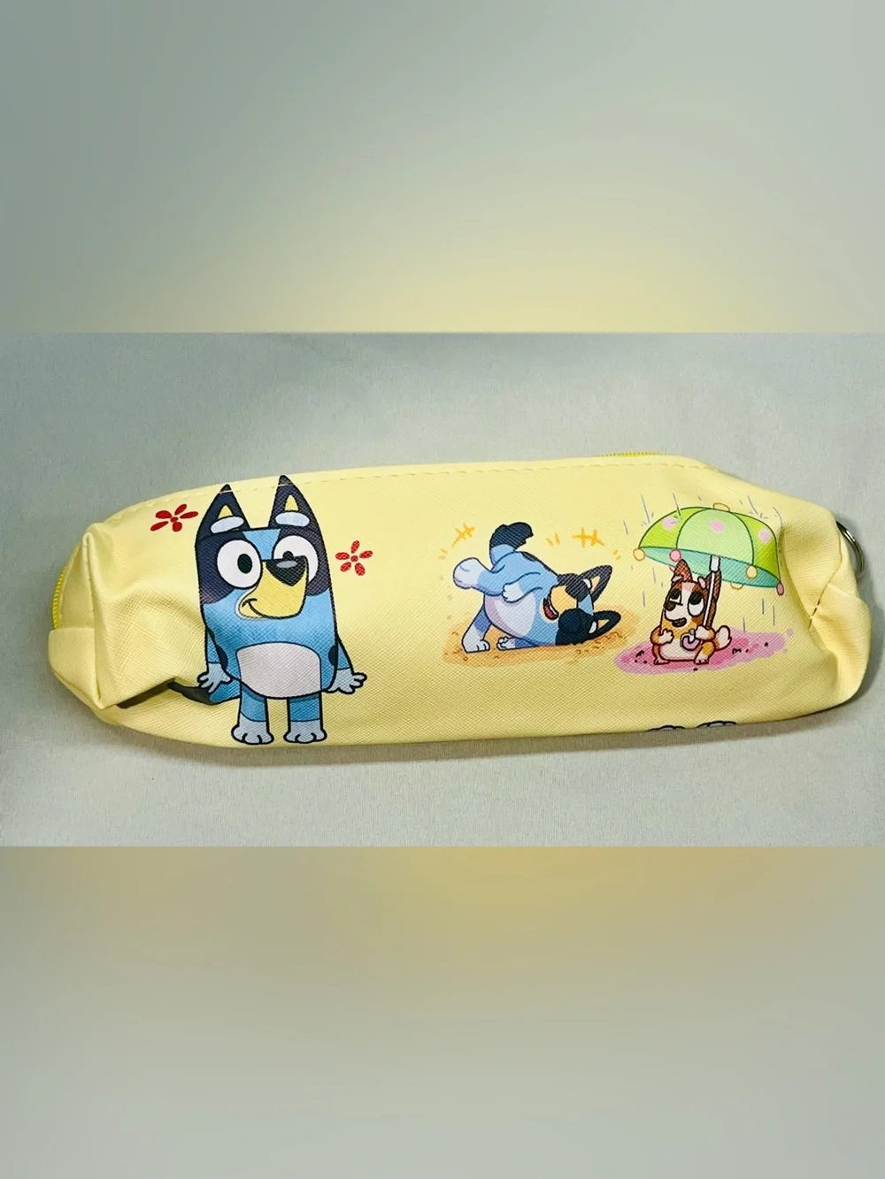 Bluey Case  6 Pack- Assorted Colors